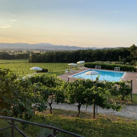 Poggio Alle Vigne 토르지아노 외부 사진