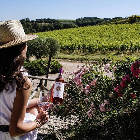 Poggio Alle Vigne 토르지아노 외부 사진