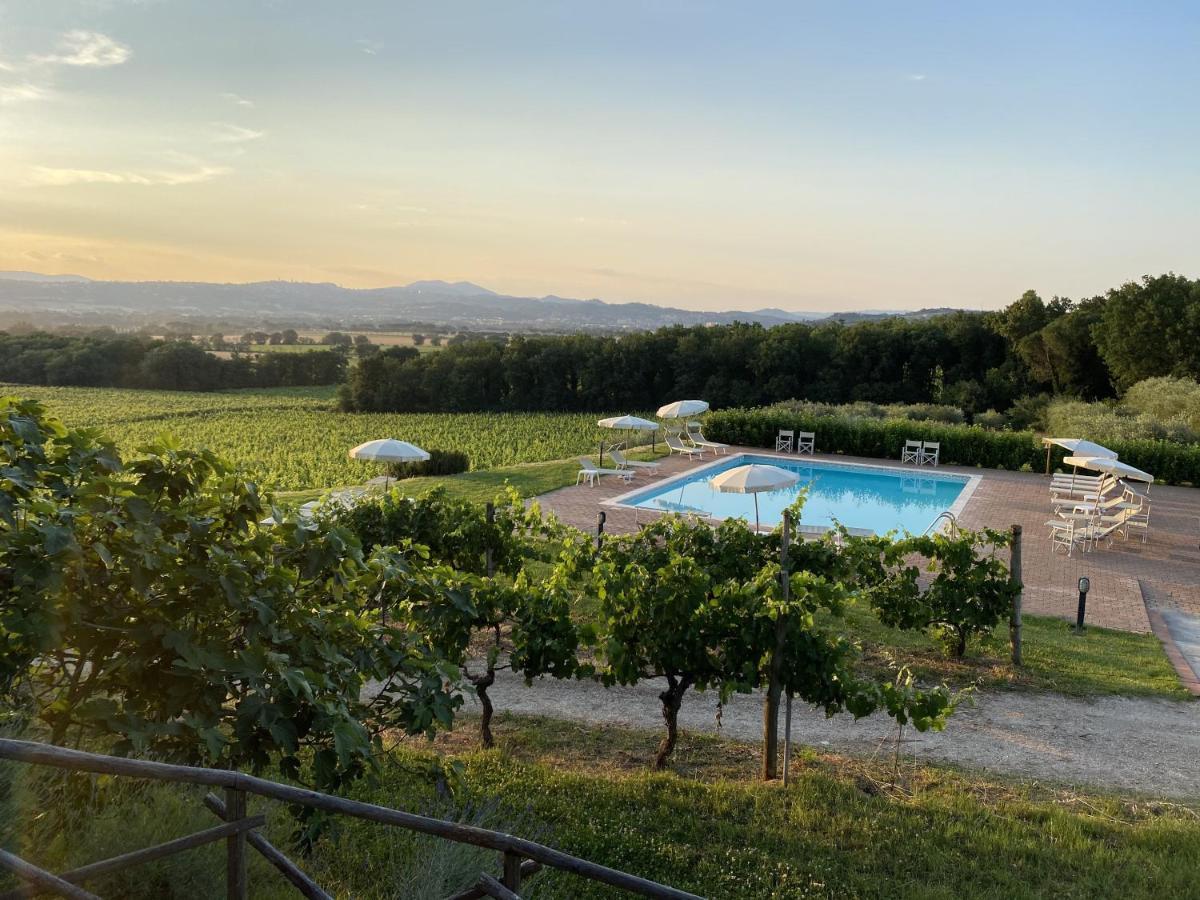 Poggio Alle Vigne 토르지아노 외부 사진