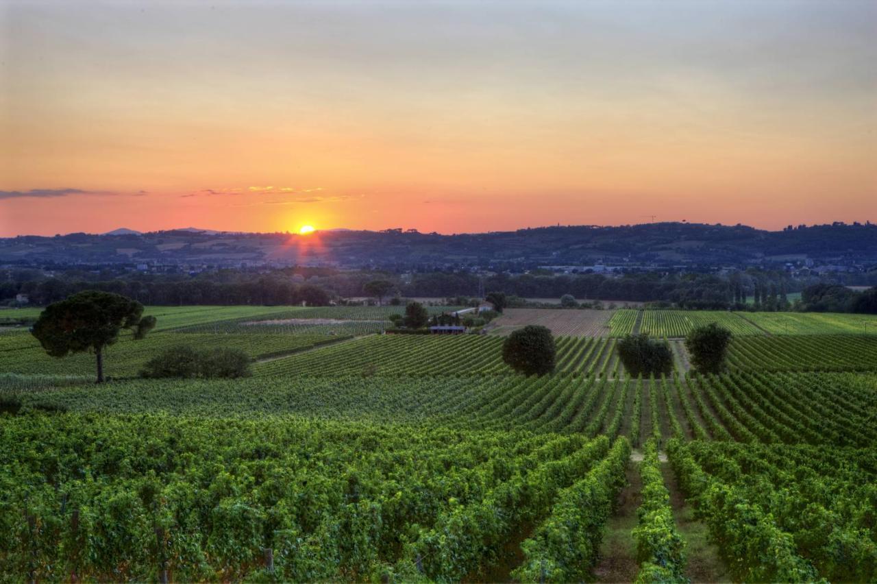 Poggio Alle Vigne 토르지아노 외부 사진