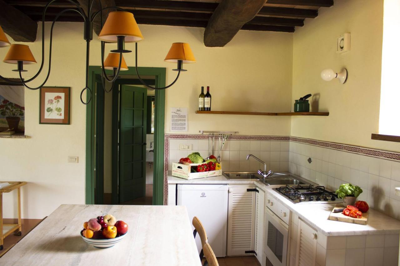 Poggio Alle Vigne 토르지아노 외부 사진