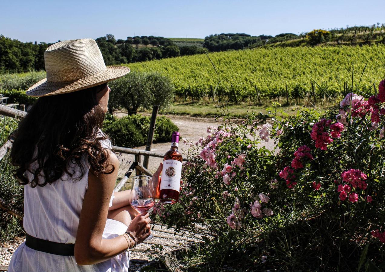 Poggio Alle Vigne 토르지아노 외부 사진