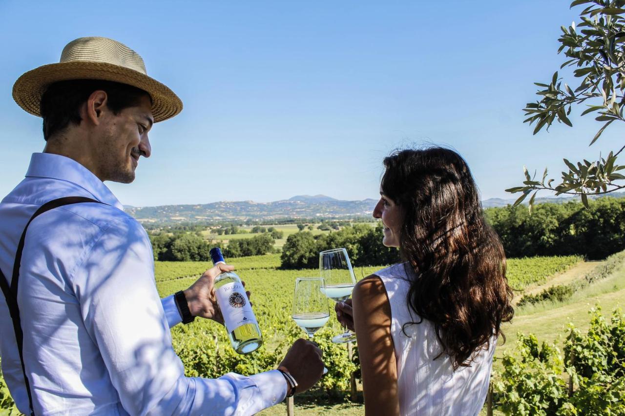 Poggio Alle Vigne 토르지아노 외부 사진