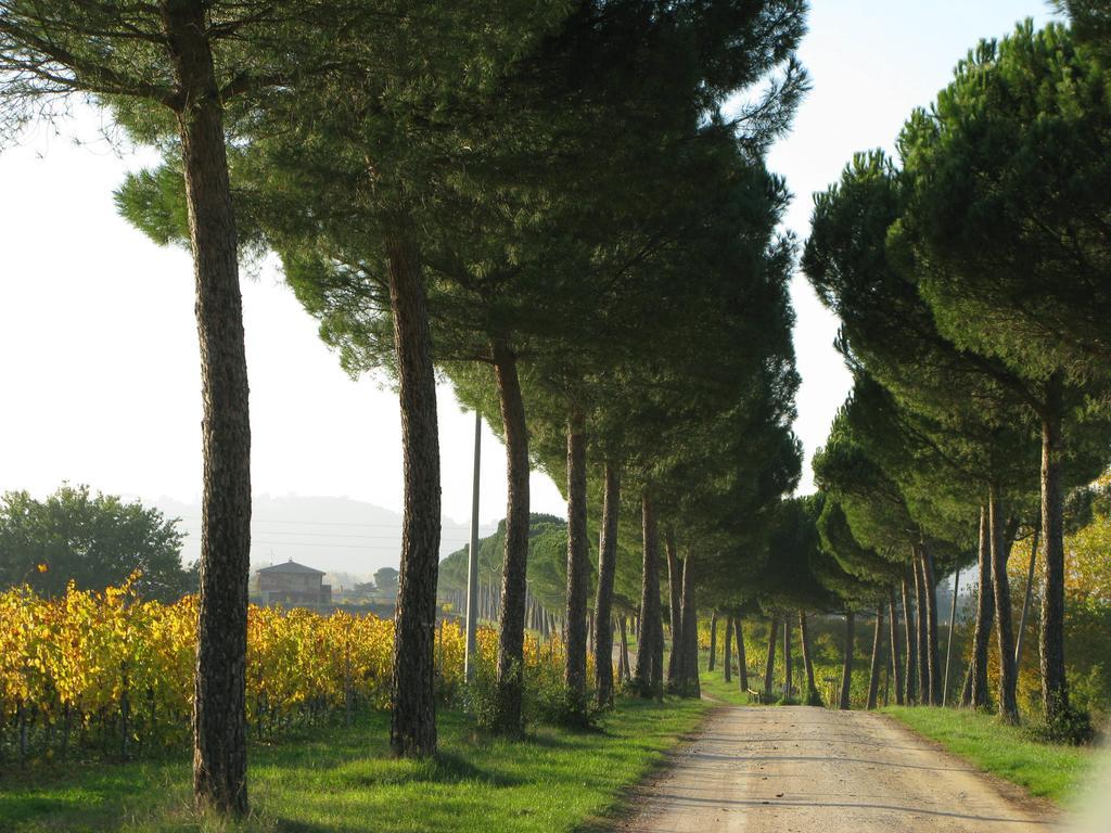 Poggio Alle Vigne 토르지아노 외부 사진