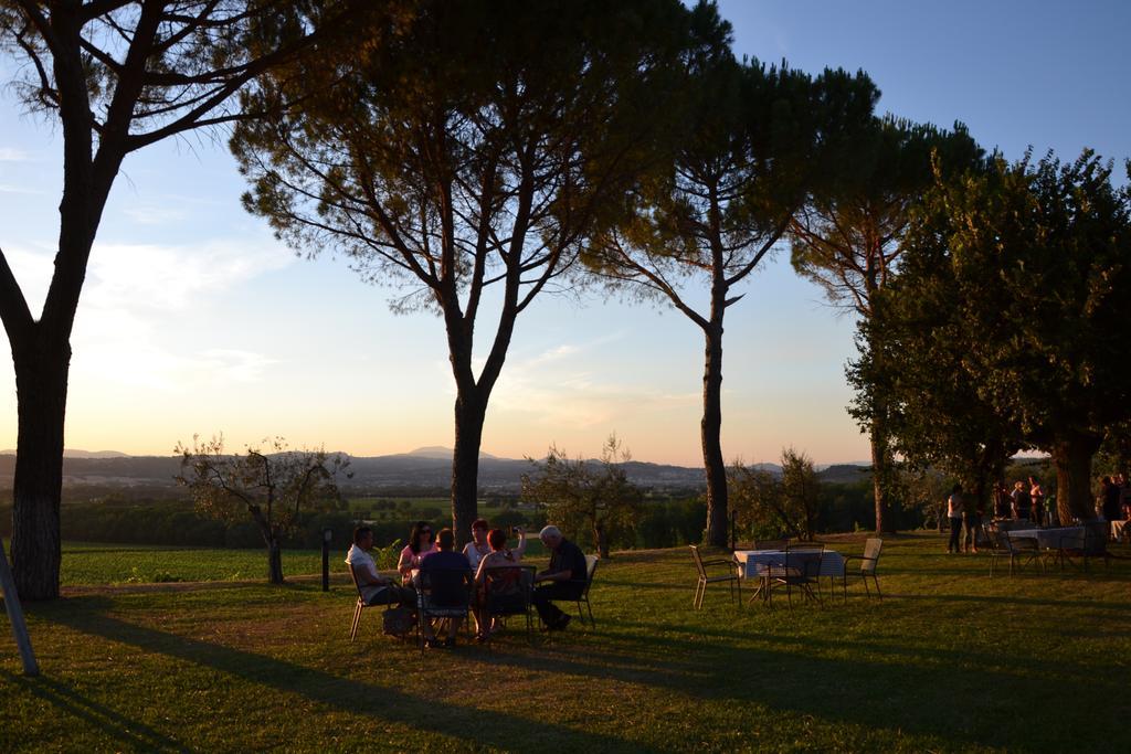 Poggio Alle Vigne 토르지아노 외부 사진