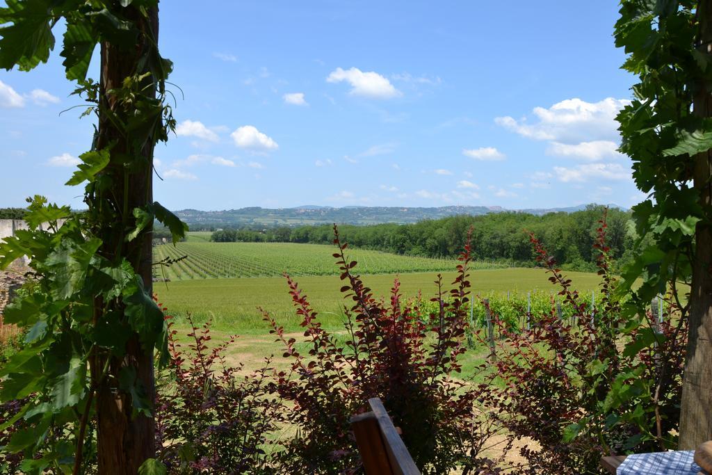 Poggio Alle Vigne 토르지아노 외부 사진